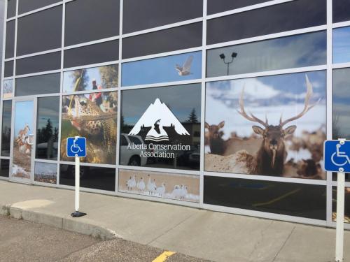 Alberta Conservation - Exterior Window Graphics 